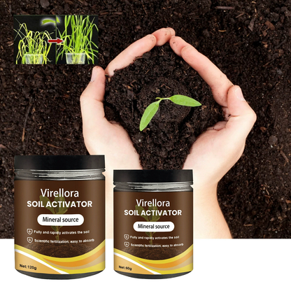 🌱Trésor du sol : le stimulateur racinaire ultime en SENEGAL