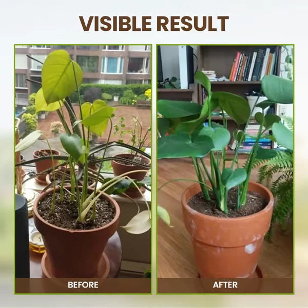 🌱Trésor du sol : le stimulateur racinaire ultime en SENEGAL